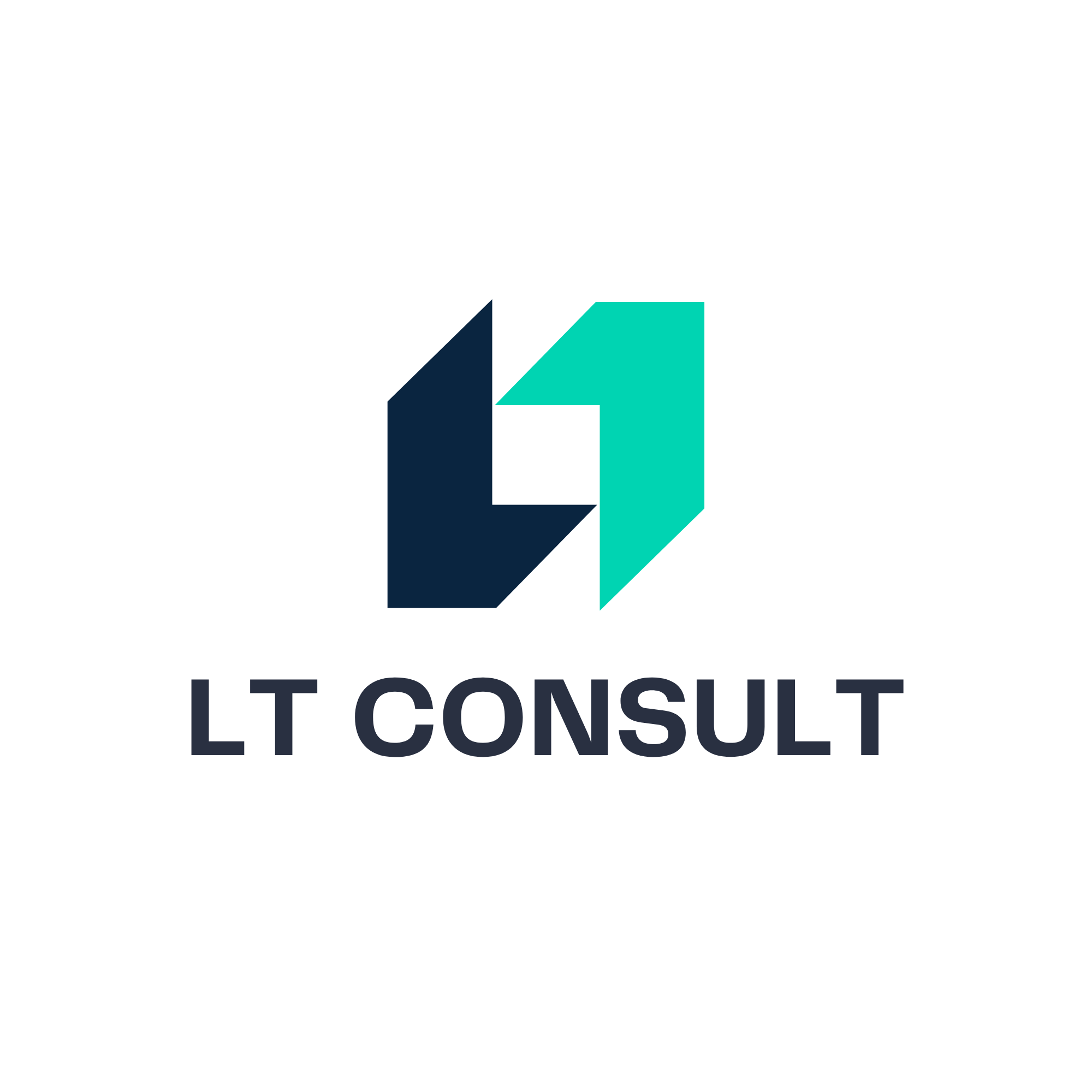 LT Consult